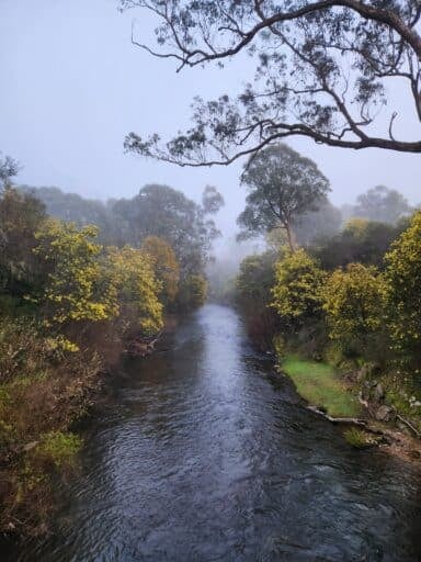 Porepunkah River Walk spring