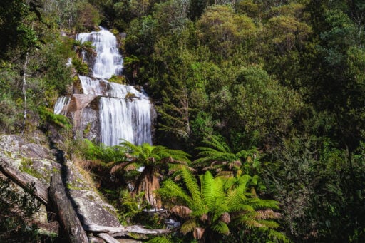 Fainter Falls walk, between Falls Creek and Mount Beauty