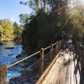 Walking around Lake Guy in Bogong Village.