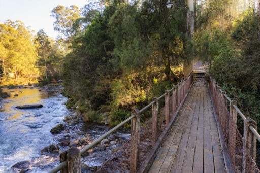 A bridge crossing the river that feeds Lake Guy at Bogong Village