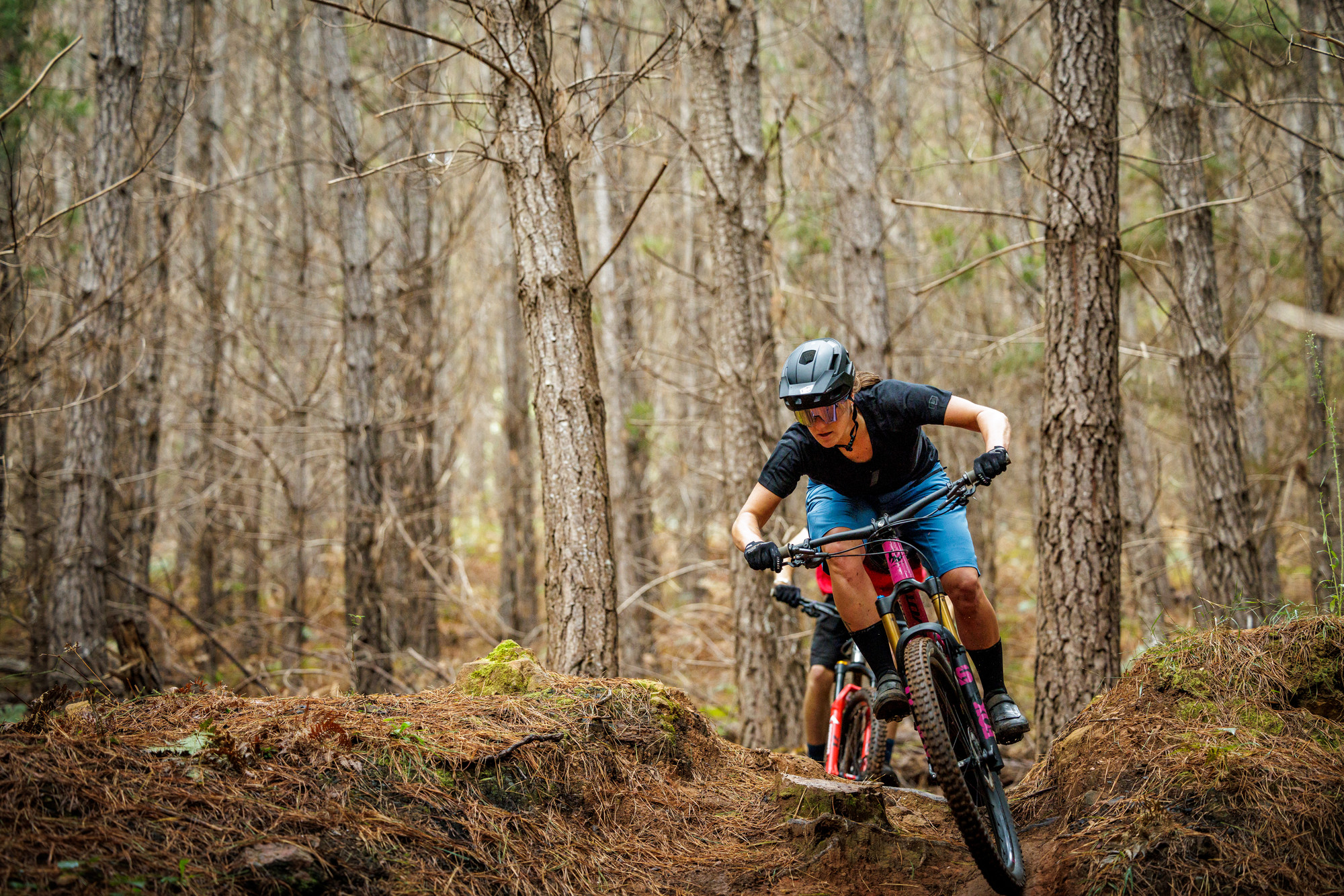 Two cyclists riding through pine trees on singletrack at Mystic Bike Park