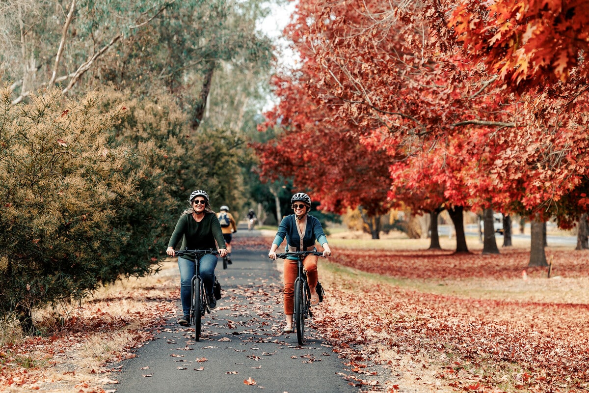 M2M Autumn in Bright/Myrtleford