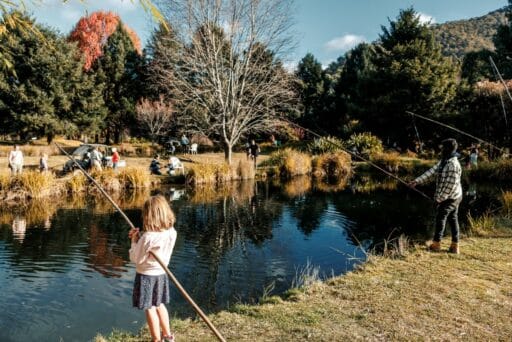 Fishing at the Harrietville Stoney Creek trout farm