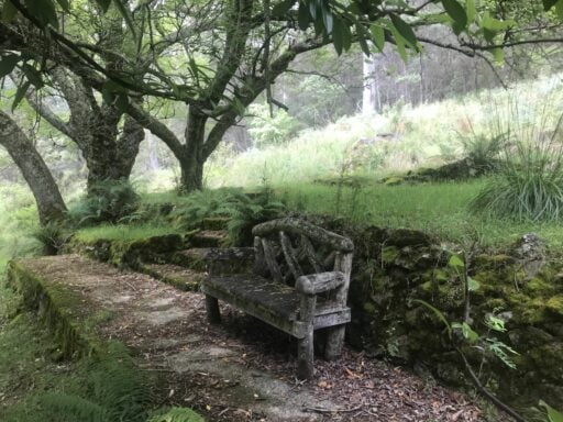 A quiet seat at Clover Arboretum, between Mount Beauty and Falls Creek