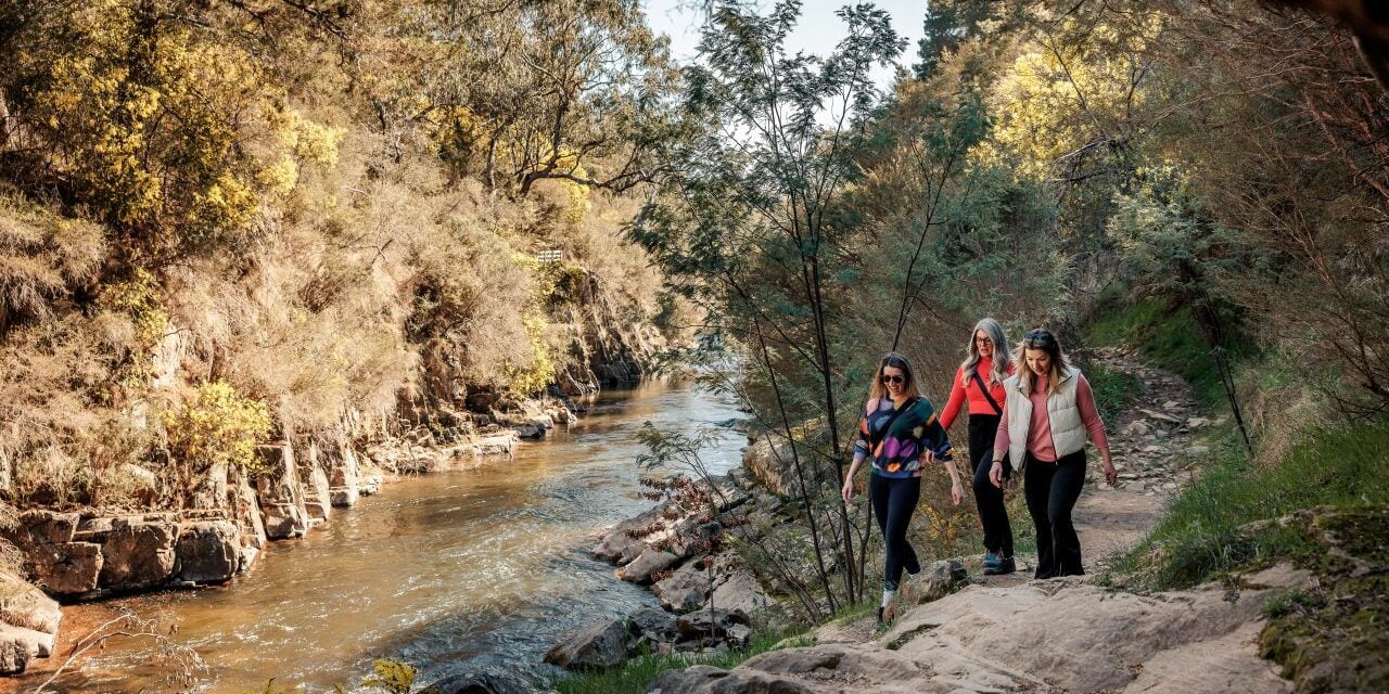 Bright Canyon Walk