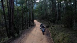 Adventure biking on Trappers Gap, Mount Beauty